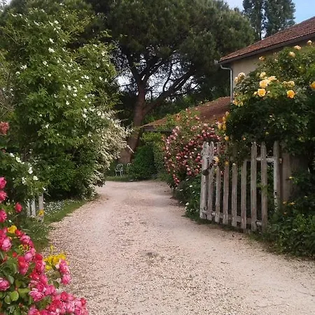 Asinus 32 Bed & Breakfast Viozan