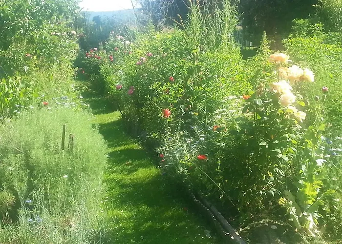 Nocleg ze śniadaniem Asinus 32 3*