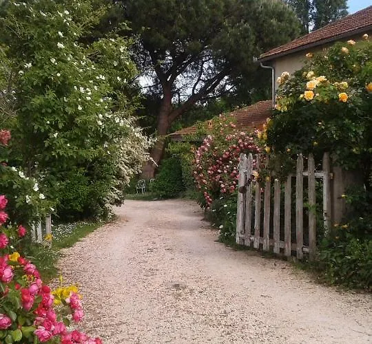 Asinus 32 Nocleg ze śniadaniem Viozan