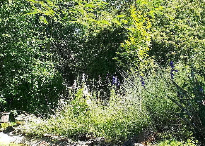 Nocleg ze śniadaniem Asinus 32