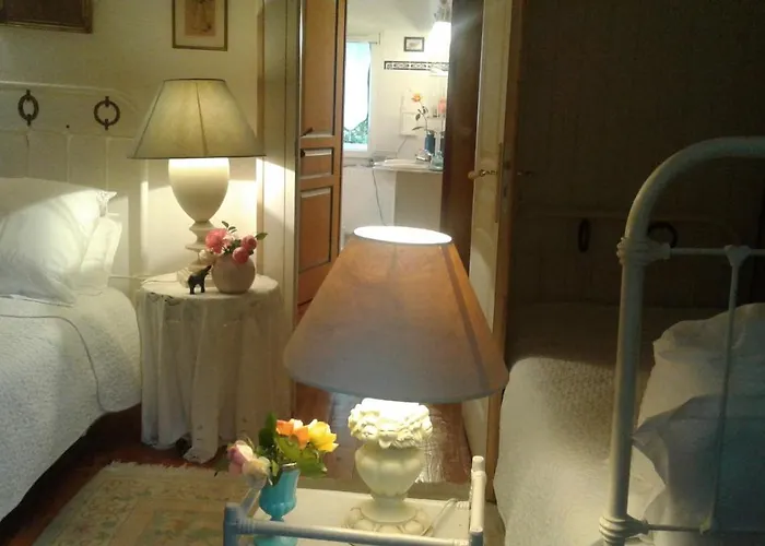 Asinus 32 Nocleg ze śniadaniem