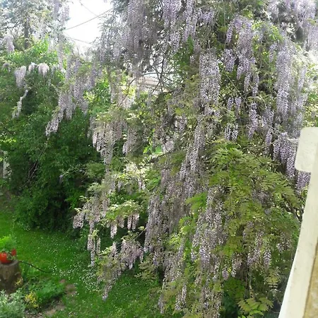 B&B Asinus 32 Viozan