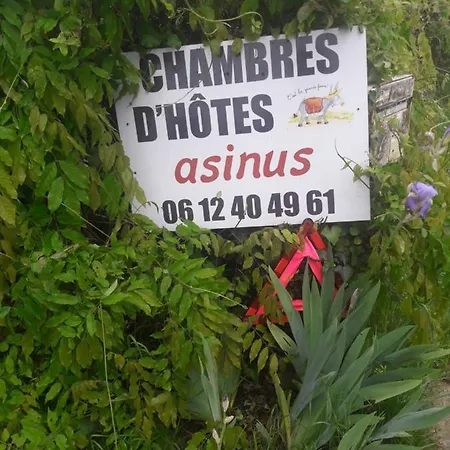 Asinus 32 * Viozan